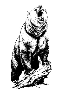 Roaring Bear on a Log