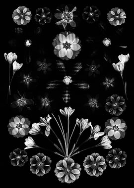 Monochromatic Floral Arrangement