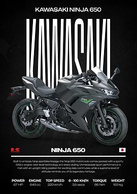 Kawasaki Ninja 650 Motorcycle