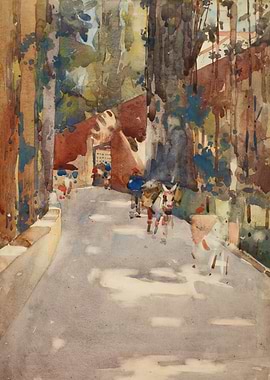 Donkey cart on a sunlit street