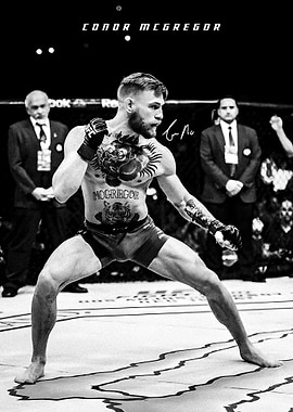 Conor McGregor in Fighting Stance