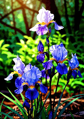 Vibrant Iris Flowers in Garden