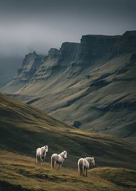 Horses in a misty mountain landscape