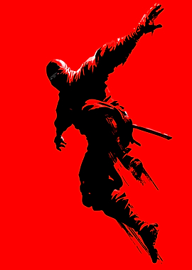 Ninja in Action