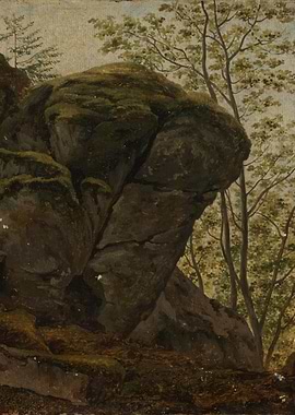 Mossy Rocks and Trees