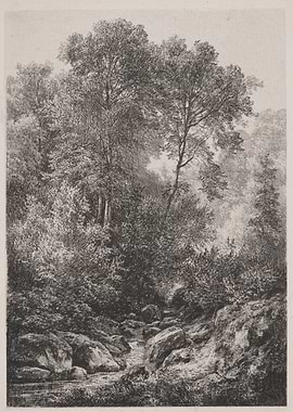 Forest stream with rocks and trees