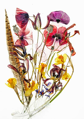 Dried Floral Arrangement with Feathers
