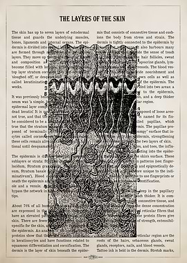 Diagram of Skin Layers