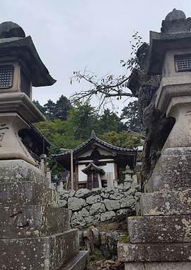 Stone Lanterns and Temple