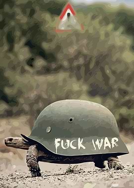 Turtle Wearing Helmet with Anti-War Message