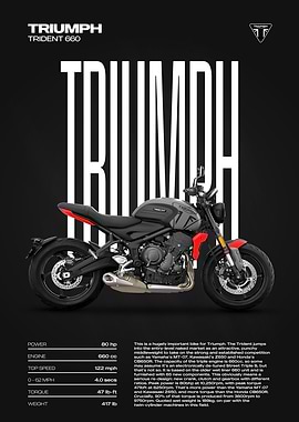 Triumph Trident 660 Motorcycle Poster
