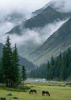 Horses grazing in a misty mountain valley