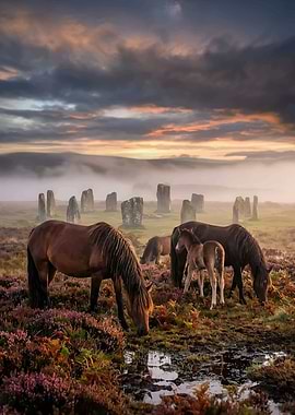 Horses at ancient stone circle at sunrise