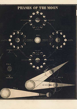 Phases of the Moon Diagram