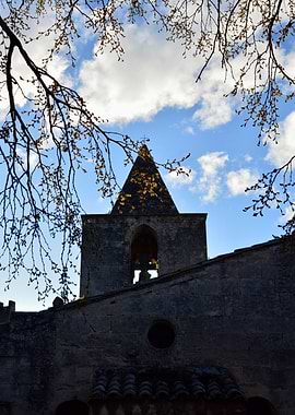 Church Bell Tower Through Tree Branches