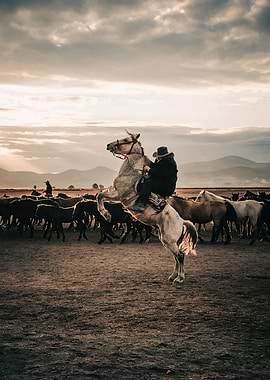 Cowboy on Rearing Horse with Herd