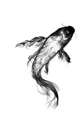 Black Smoke Koi Fish