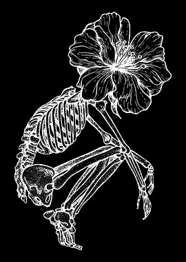 Skeleton with Flower Head