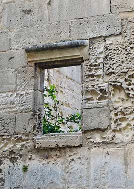 Ancient Stone Window with Overgrown Plant