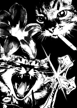Aggressive Cat with Flower and Cross