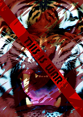 Aggressive Tiger 'This is War'