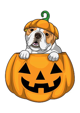 English Bulldog Halloween Pumpkin