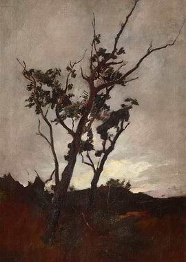 Stormy Sky Over Trees