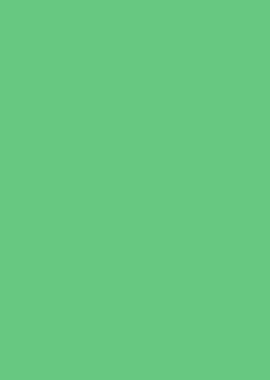 Verdant Forest