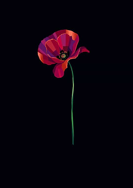 Stylized Red Poppy on Black