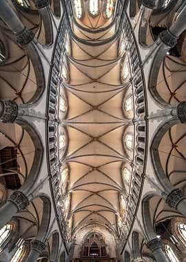 Gothic Cathedral Ceiling View