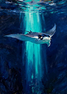 Manta Ray in Sunlit Ocean Depths