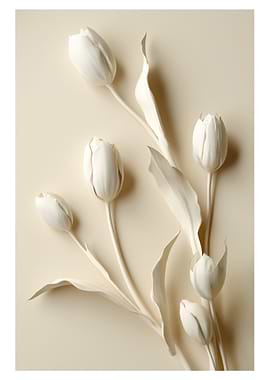 Monochromatic White Tulips