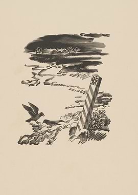Birds by a Border Post