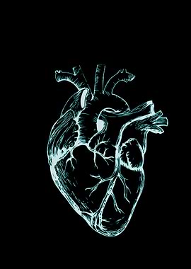 Anatomical Heart Illustration