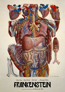 Frankenstein Movie Poster