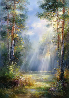 Sunbeams in a Pine Forest