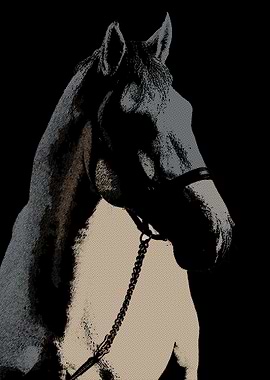 Horse Retro Portrait