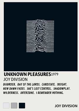 Joy Division Unknown Pleasures