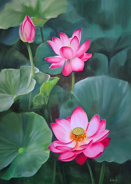 Pink Lotus Flowers and Leaves