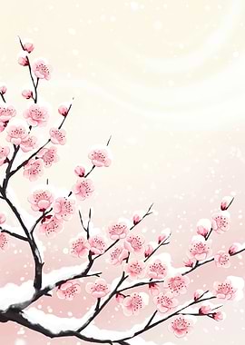 Cherry Blossoms in Snow