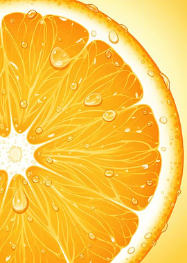 Close-up of a Juicy Orange Slice