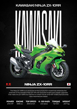 Kawasaki Ninja ZX-10RR Motorcycle