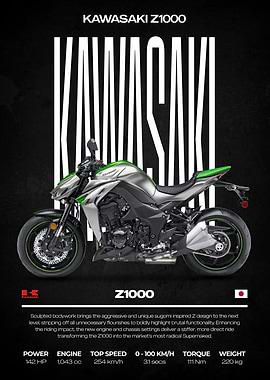 Kawasaki Z1000 Motorcycle