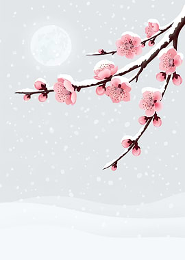 Cherry Blossoms in Snow