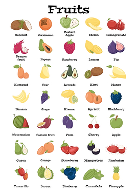 Illustrated Chart of Various Fruits
