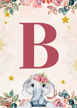 Letter B