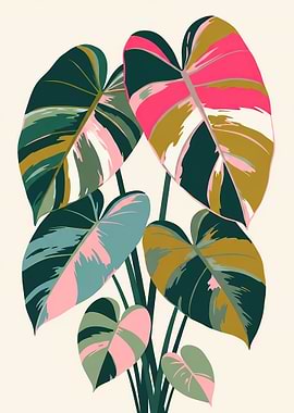 Variegated Philodendron Leaves