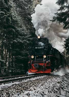 Steam Train in Snowy Forest