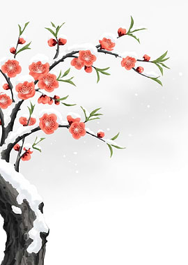 Snow-Covered Plum Blossoms