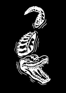 Alligator Emerging from Water